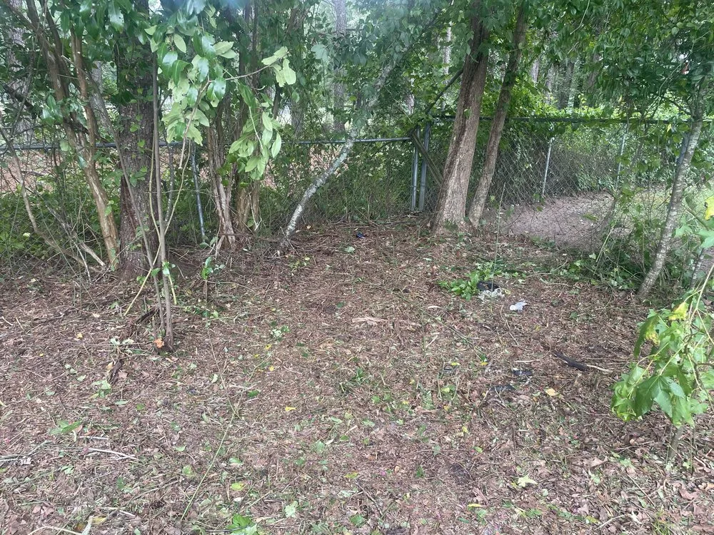 Trusted outdoor landscaping for beautiful yards in Alcolu, SC by Everyday Jobs N More