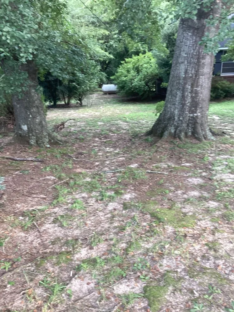 Top-rated landscaping services in Alcolu, SC - Everyday Jobs N More