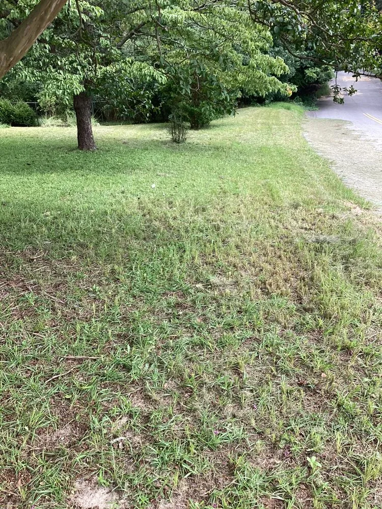 Local lawn care service for outdoor upgrades in Alcolu, SC by Everyday Jobs N More