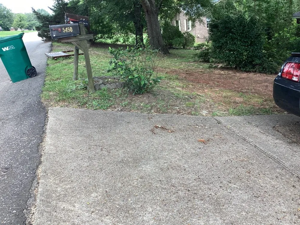 Trusted residential landscaping experts serving Alcolu, SC - Everyday Jobs N More