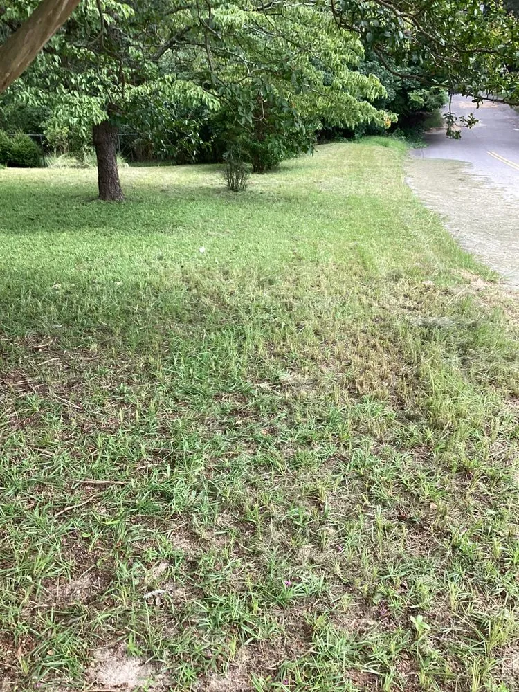 Reliable landscaping services in Alcolu, SC - Everyday Jobs N More