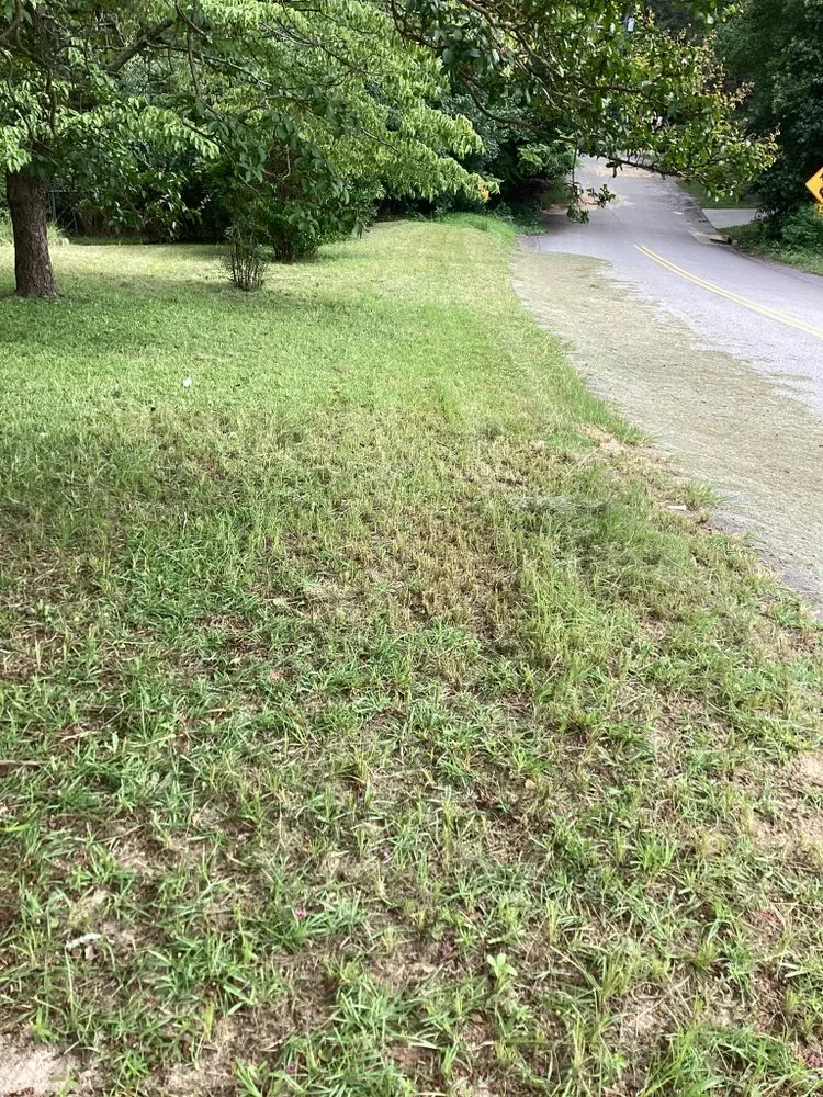 Reliable landscape installation for year-round maintenance across Alcolu, SC - Everyday Jobs N More