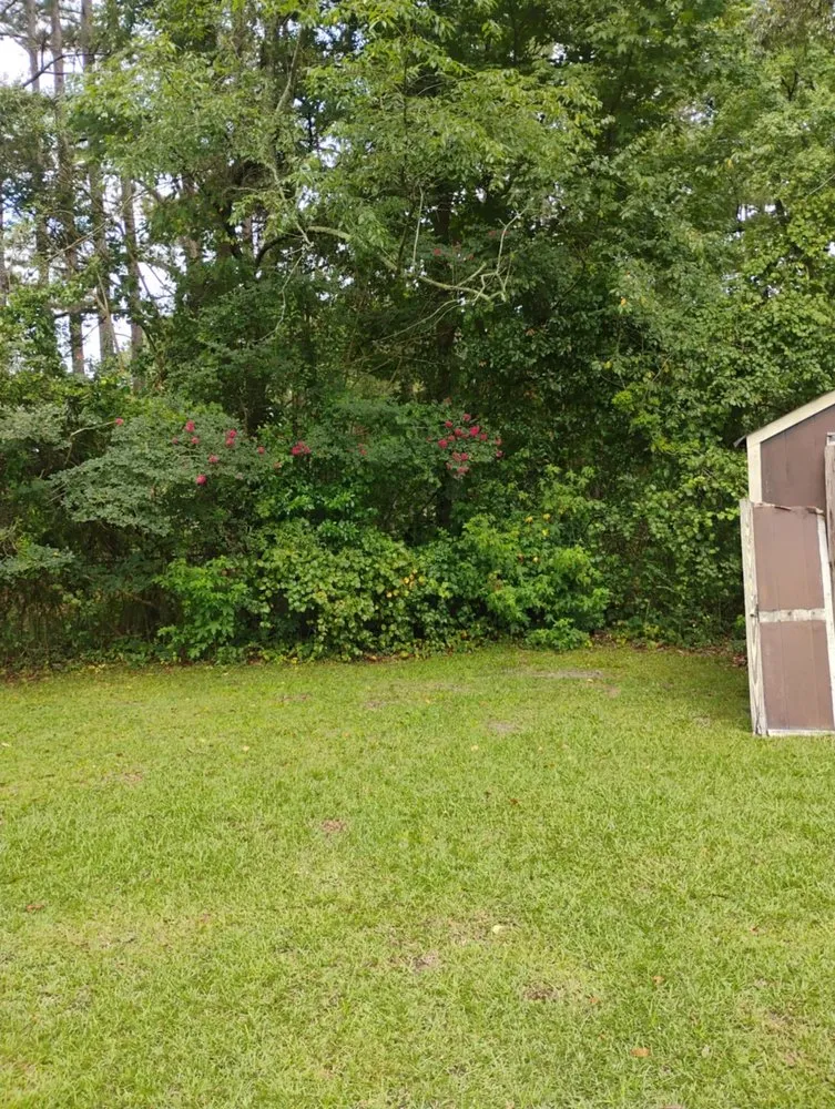Professional residential landscaping for residential properties across Alcolu, SC - Everyday Jobs N More