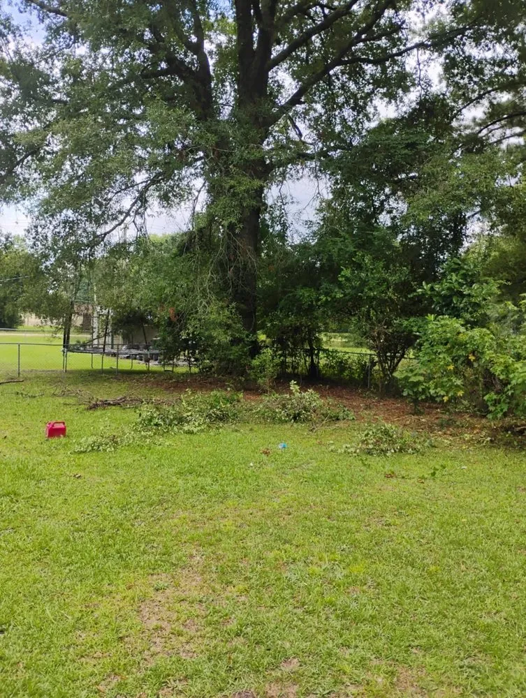 Top-rated landscape design for year-round maintenance across Alcolu, SC - Everyday Jobs N More