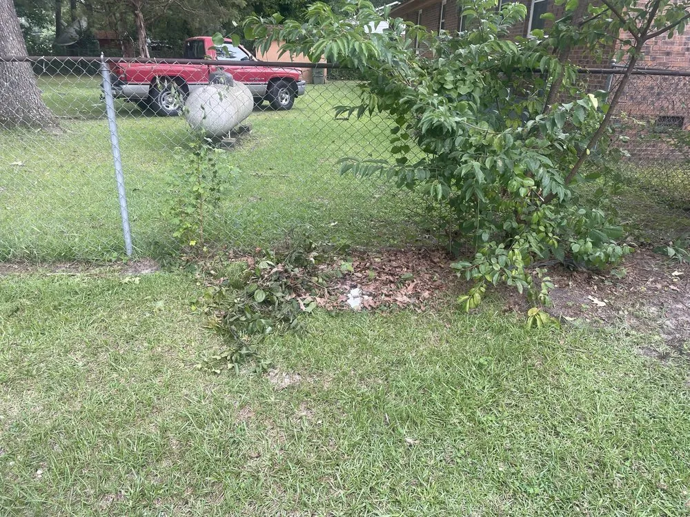 Reliable landscape design near you across Alcolu, SC - Everyday Jobs N More