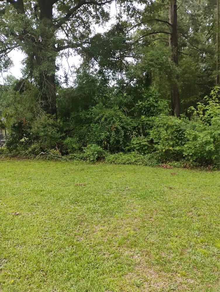Affordable yard cleanup service in Alcolu, SC - Everyday Jobs N More
