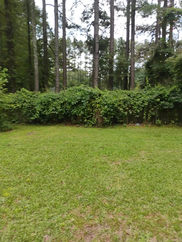 Expert landscaping services experts serving Alcolu, SC - Everyday Jobs N More