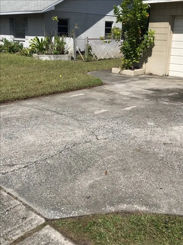 Custom yard cleanup service for year-round maintenance across Largo, FL - Everyday Lawn Services