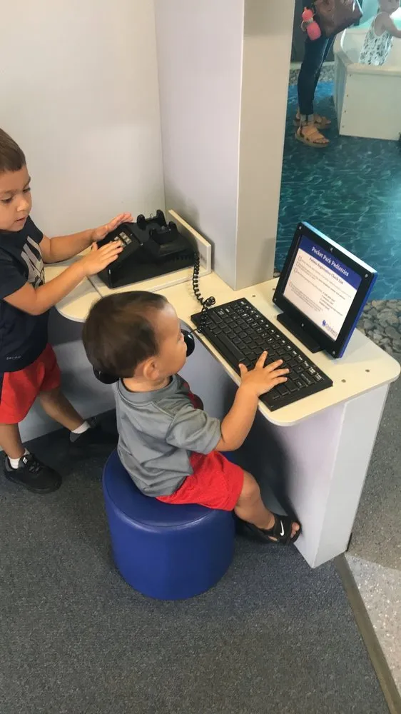 Affordable residential landscaping experts serving Largo, FL - Everyday Lawn Services