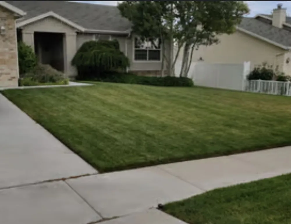 Expert landscaping services in Ocala, FL by Everyday Lawn Solutions