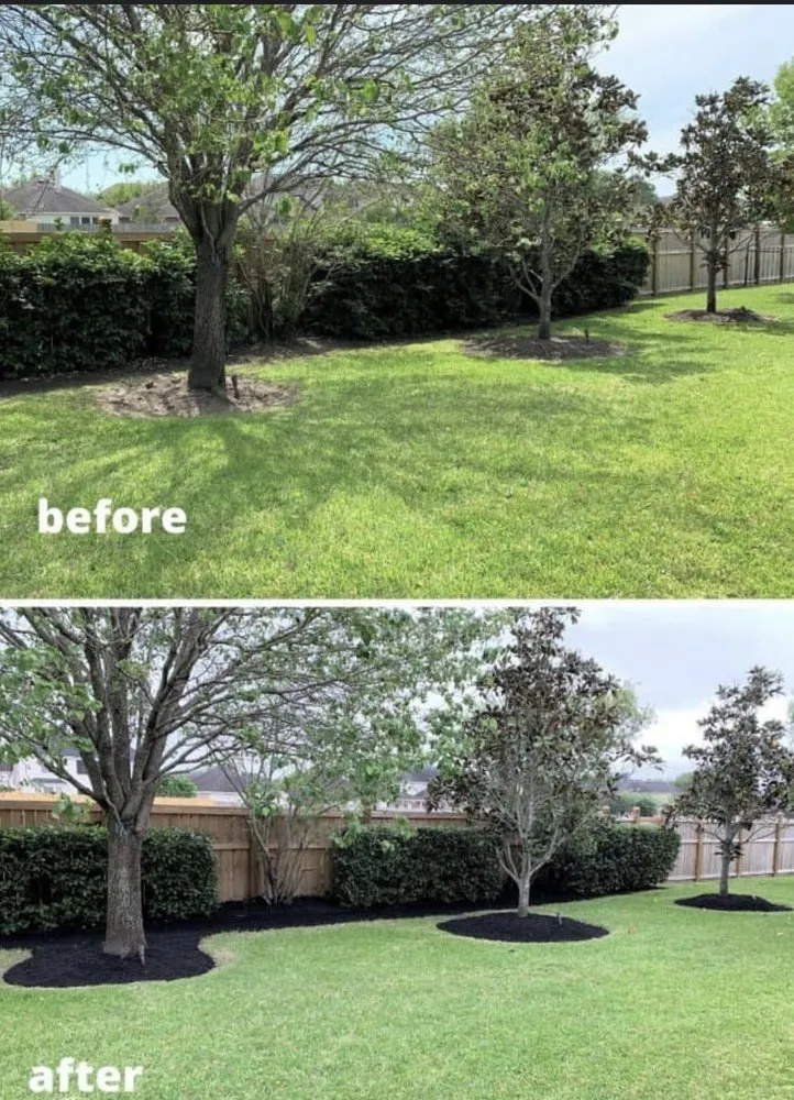 Top-rated landscape design experts serving Ocala, FL - Everyday Lawn Solutions