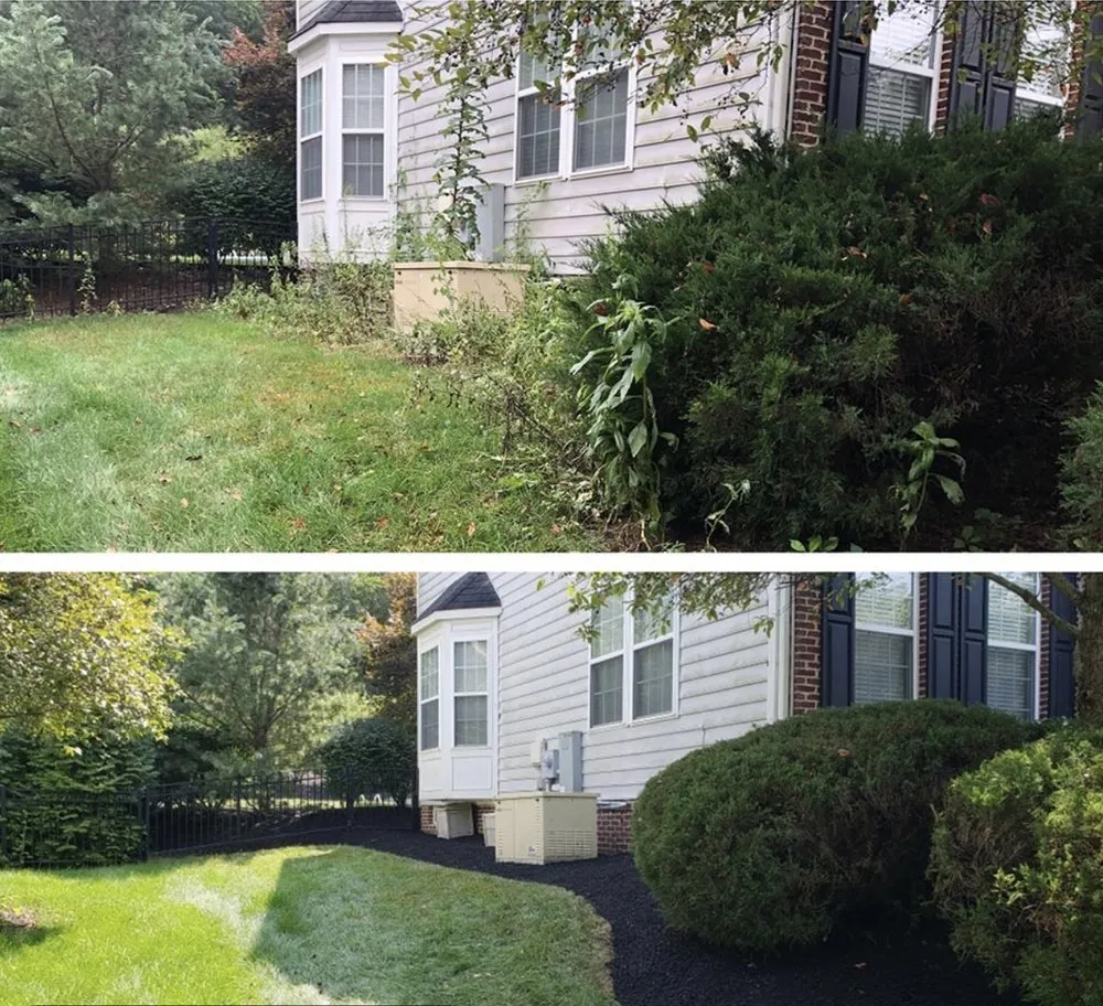 Top-rated landscape installation in Ocala, FL - Everyday Lawn Solutions