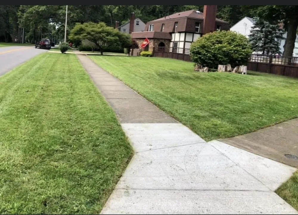 Top-rated landscape installation for homes in Ocala, FL by Everyday Lawn Solutions