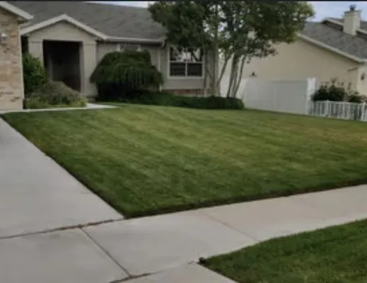 Everyday Lawn Solutions Logo