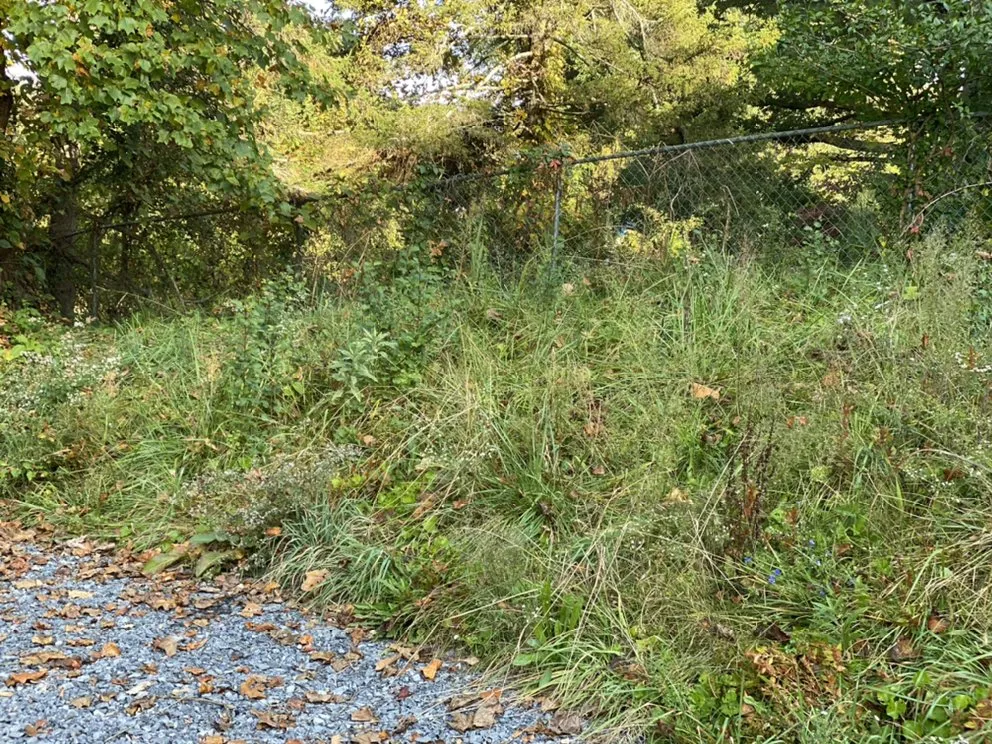 Trusted landscaping services experts serving Jonesborough, TN - Everyday LawnCare