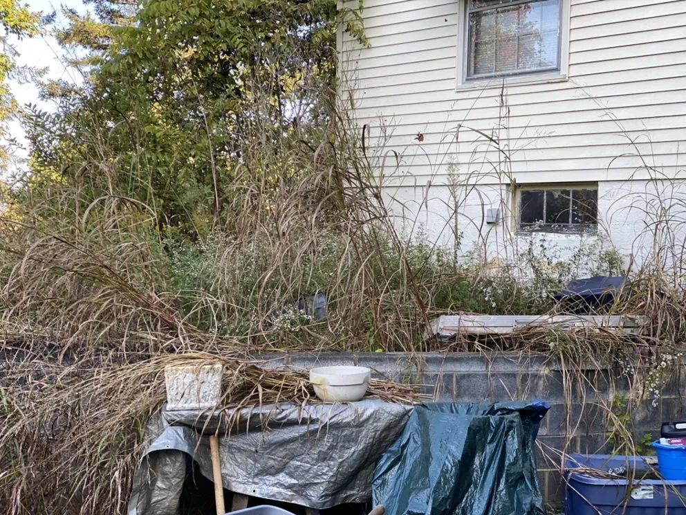 Professional yard maintenance for homes in Jonesborough, TN by Everyday LawnCare