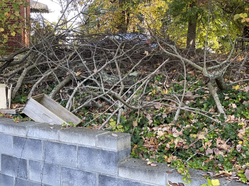 Professional landscaping services in Jonesborough, TN by Everyday LawnCare