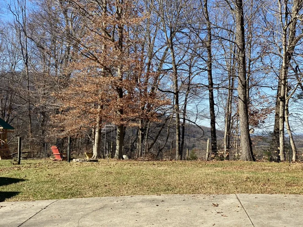 Professional garden landscaping in Jonesborough, TN - Everyday LawnCare