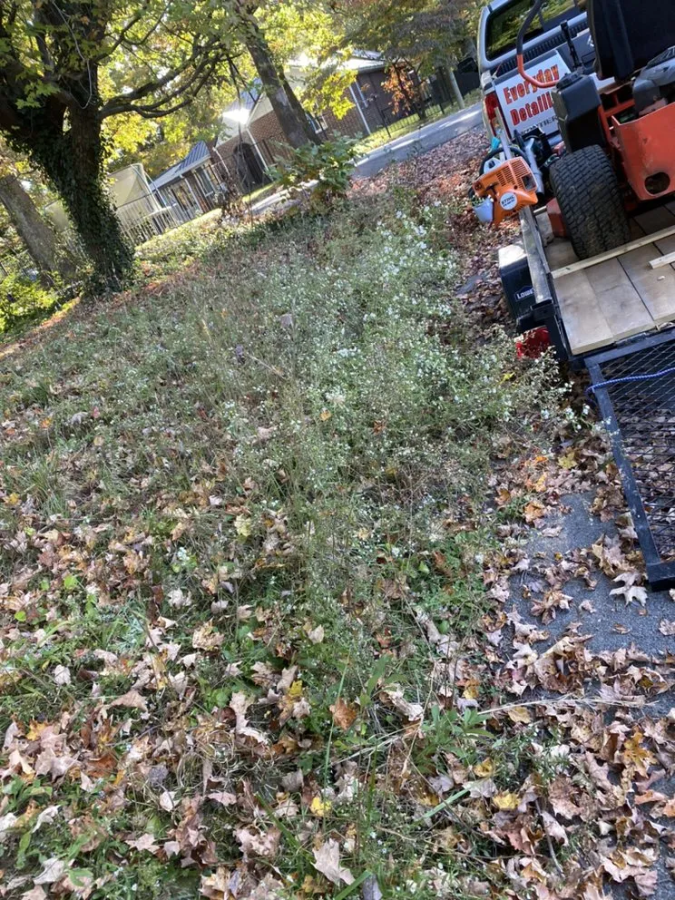 Trusted yard maintenance near you in Jonesborough, TN by Everyday LawnCare