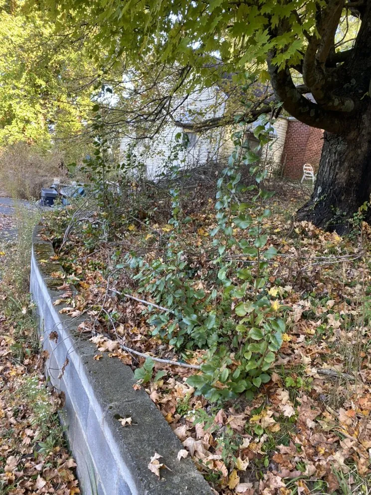 Custom landscape installation near you across Jonesborough, TN - Everyday LawnCare