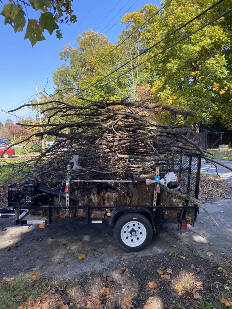Custom yard maintenance in Jonesborough, TN by Everyday LawnCare