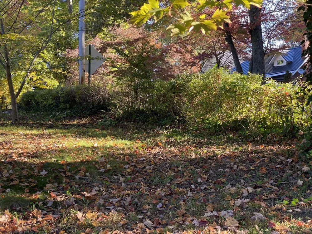 Professional lawn mowing service in Jonesborough, TN by Everyday LawnCare