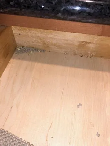 Professional garden landscaping in Gresham, OR - Everyday Needs