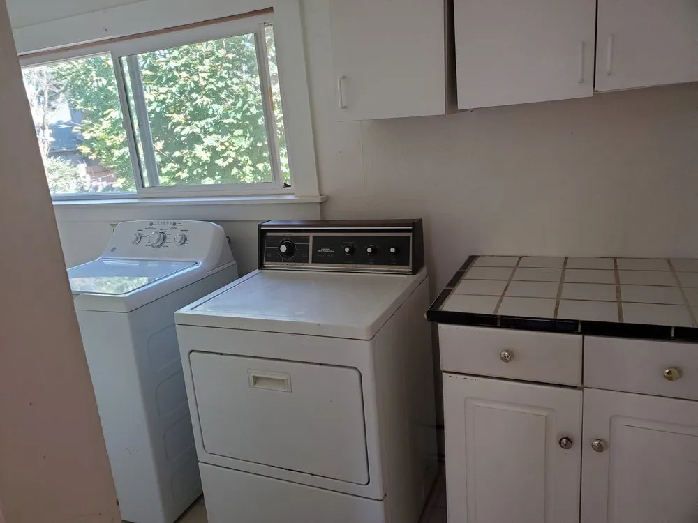 Expert yard cleanup service experts serving Gresham, OR - Everyday Needs