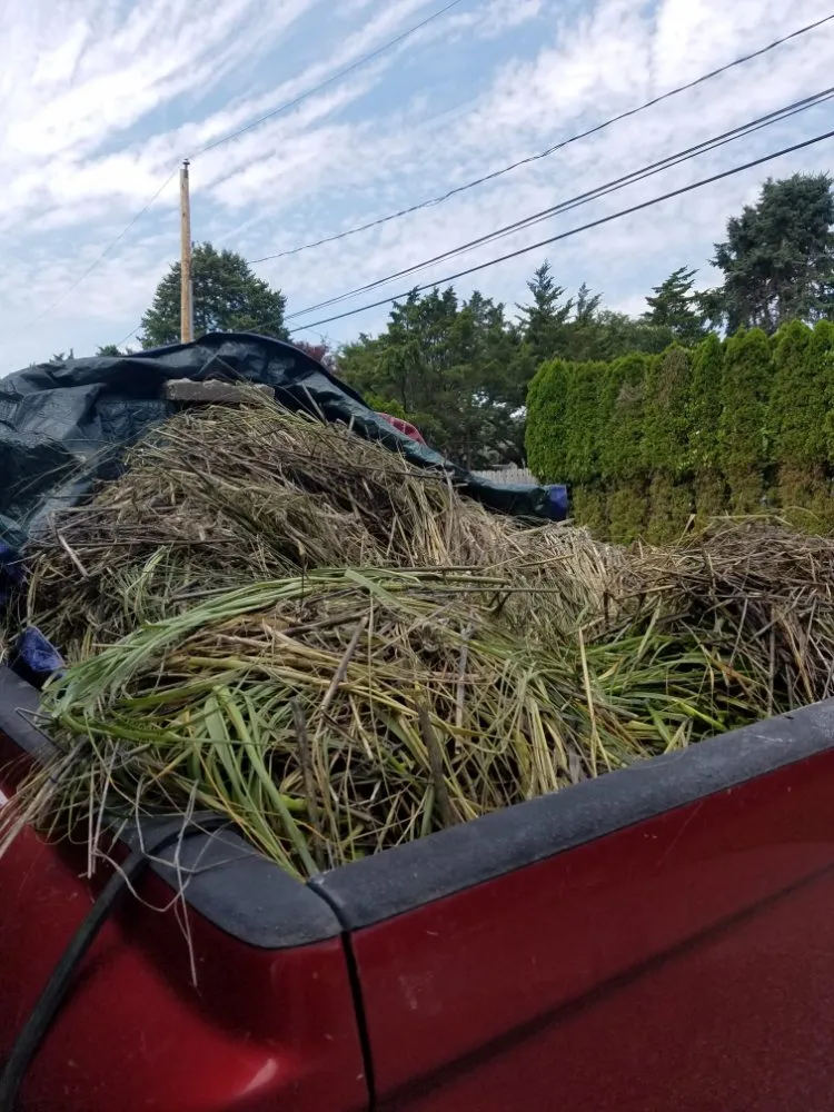 Professional lawn care service for beautiful yards across Southampton, NY - EveryMan Hamptons