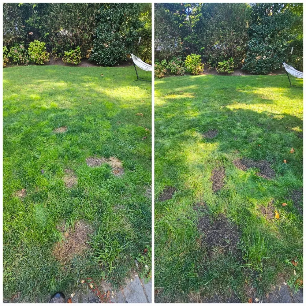 Local landscaping services for beautiful yards in Southampton, NY by EveryMan Hamptons