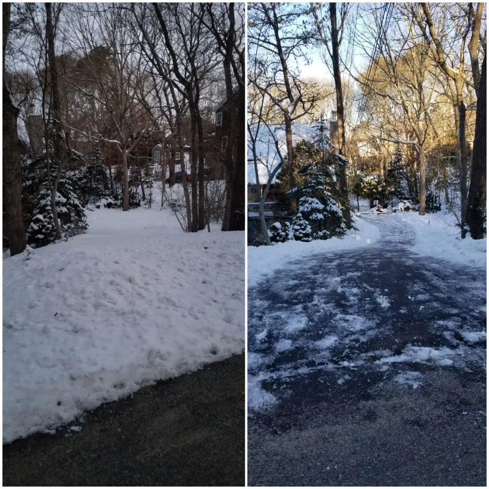 Trusted landscaping services for outdoor upgrades across Southampton, NY - EveryMan Hamptons