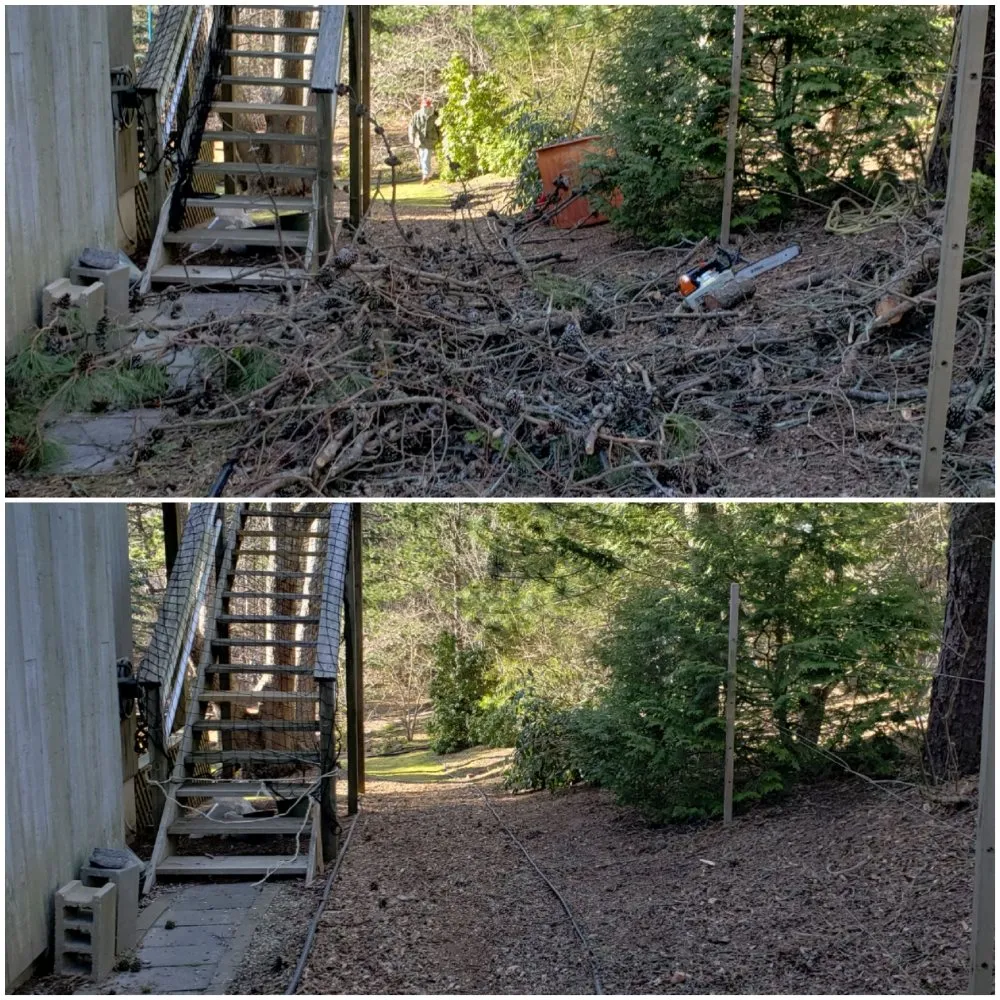 Top-rated outdoor landscaping in Southampton, NY - EveryMan Hamptons