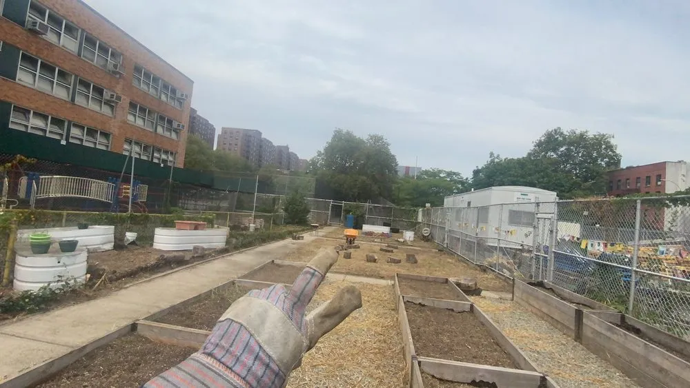 Top-rated yard maintenance with custom design in Mount Olive, NJ by Everyone’s Grandpa