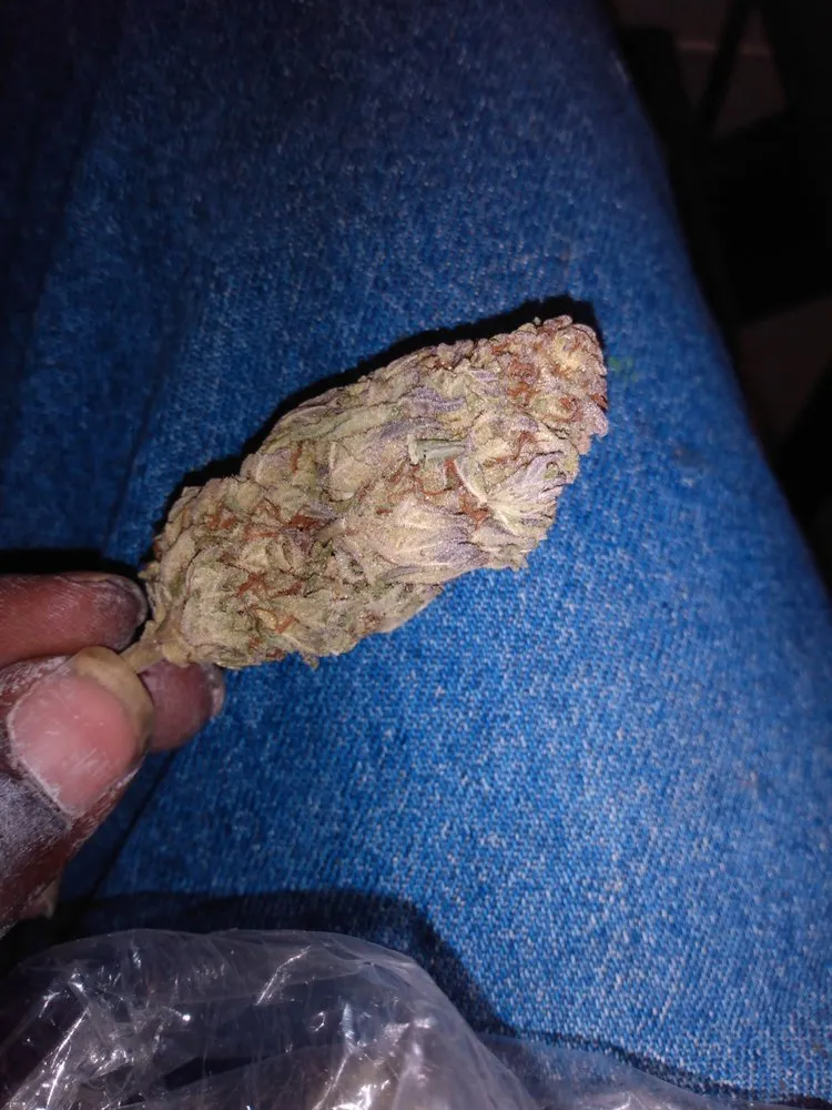 Expert lawn mowing service for residential properties across Commerce, CA - Everytheen Green Landscaping