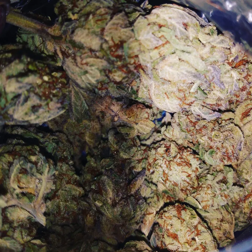 Affordable residential landscaping in Commerce, CA - Everytheen Green Landscaping