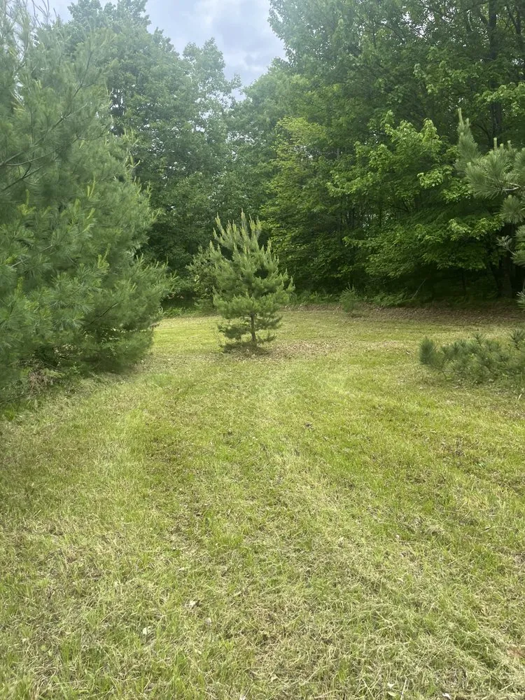 Local residential landscaping in Pembine, WI by Everything & Anything