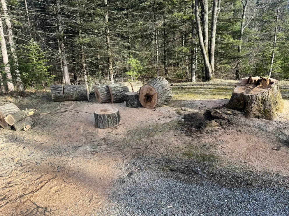 Expert outdoor landscaping experts serving Pembine, WI - Everything & Anything