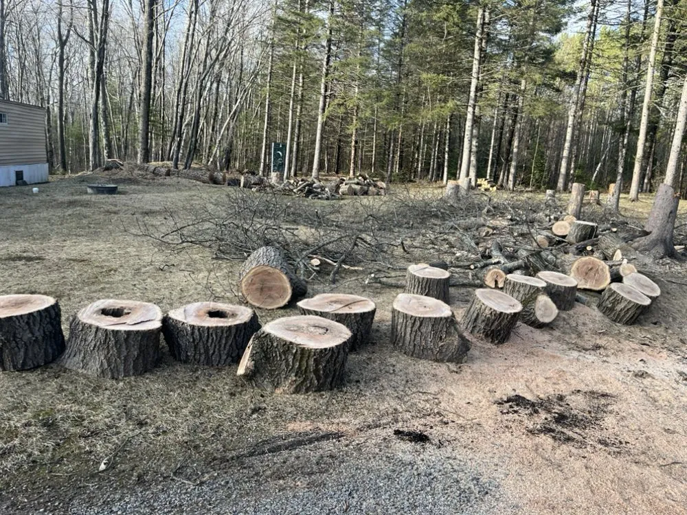 Local landscape installation in Pembine, WI - Everything & Anything