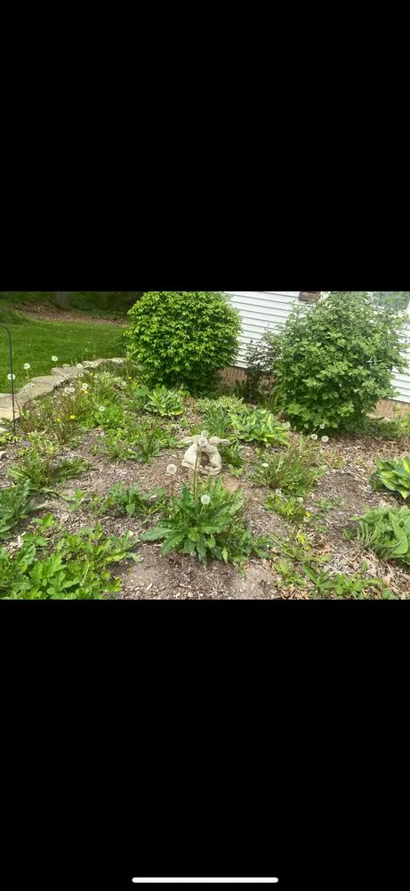 Reliable lawn mowing service in Toledo, OH by Everything Arreguin Enterprise