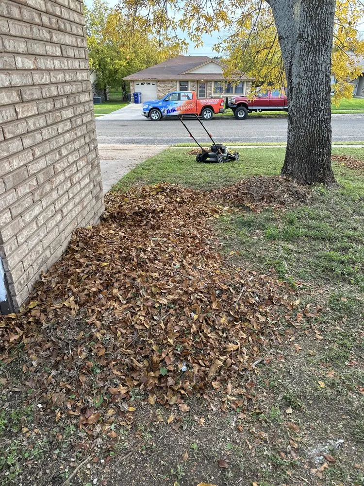 Professional landscape design in Copperas Cove, TX - Everything Cleaning