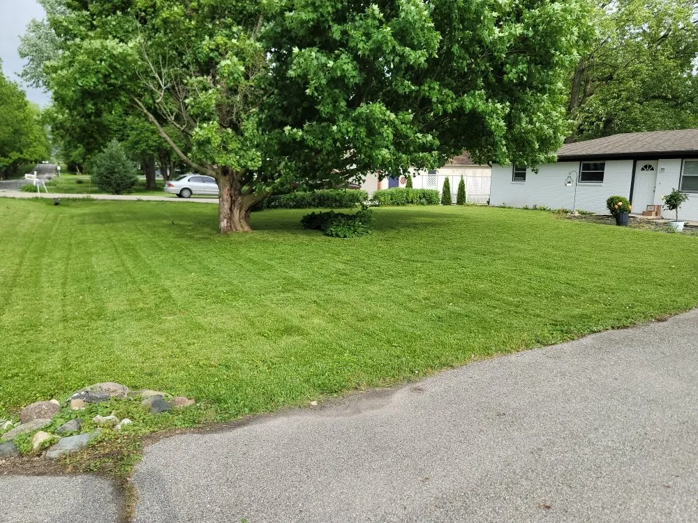 Top-rated landscape installation in Cicero, IN - Everything Exterior