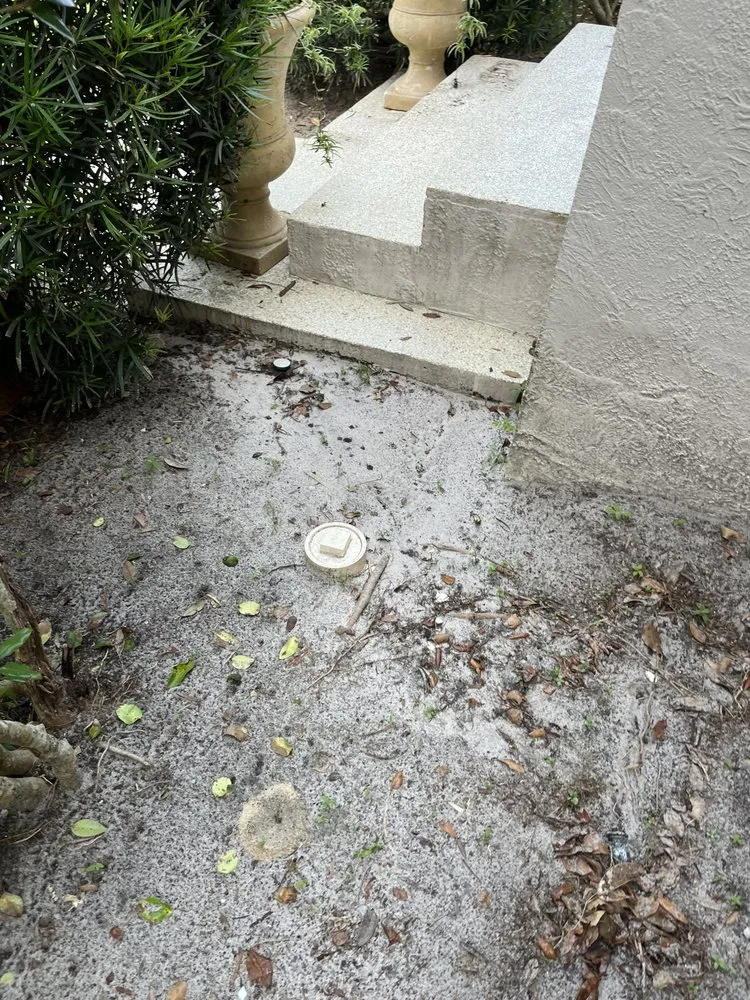 Professional lawn mowing service for outdoor upgrades in Palm Coast, FL by Everything Exterior Property Maintenace