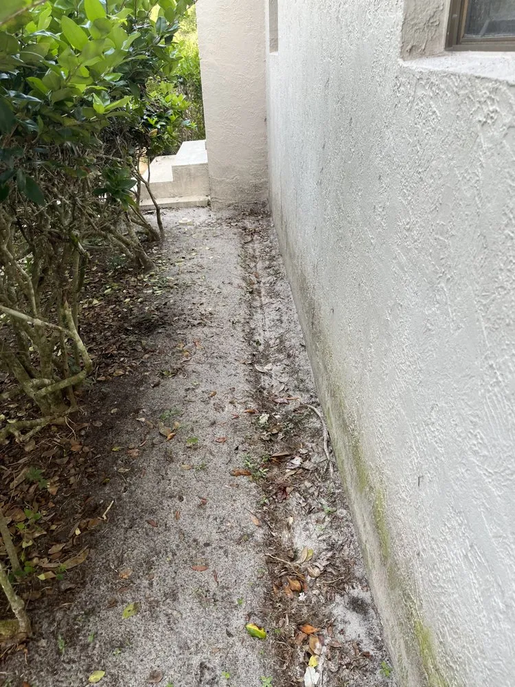 Expert outdoor landscaping in Palm Coast, FL - Everything Exterior Property Maintenace