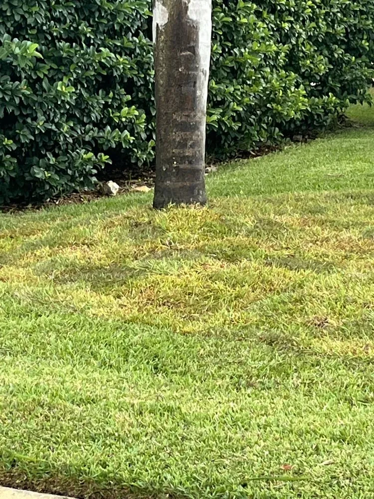 Reliable landscape installation for homes across Palm Coast, FL - Everything Exterior Property Maintenace