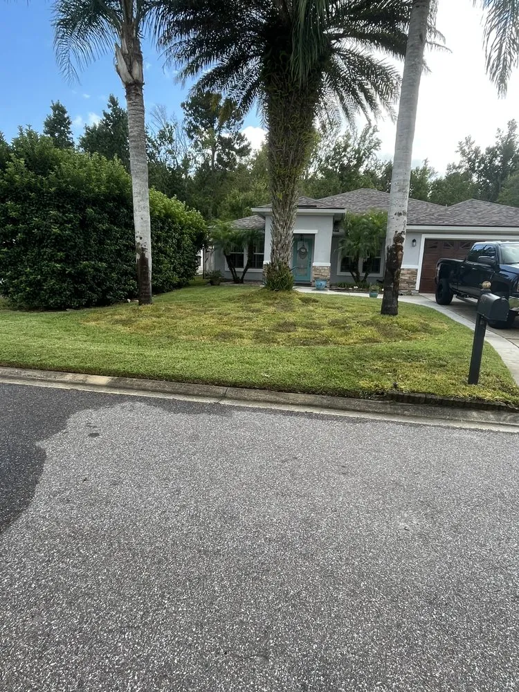 Professional landscape design for beautiful yards across Palm Coast, FL - Everything Exterior Property Maintenace