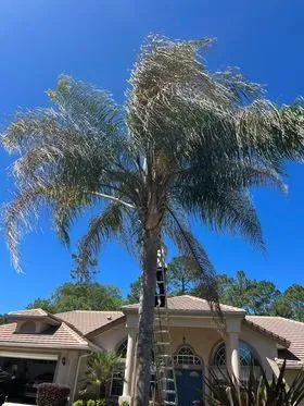 Trusted yard maintenance experts serving Palm Coast, FL - Everything Exterior Property Maintenace