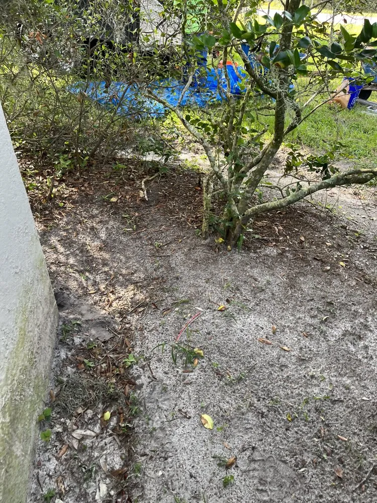 Expert landscaping services for outdoor upgrades across Palm Coast, FL - Everything Exterior Property Maintenace