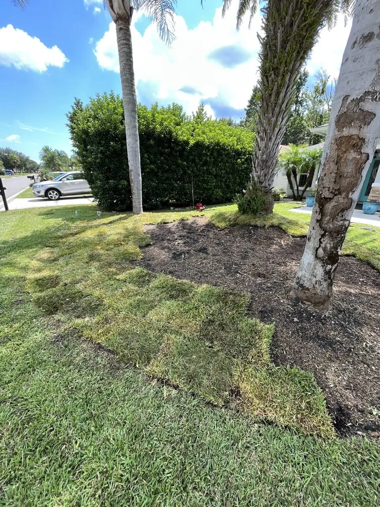 Reliable landscape design experts serving Palm Coast, FL - Everything Exterior Property Maintenace