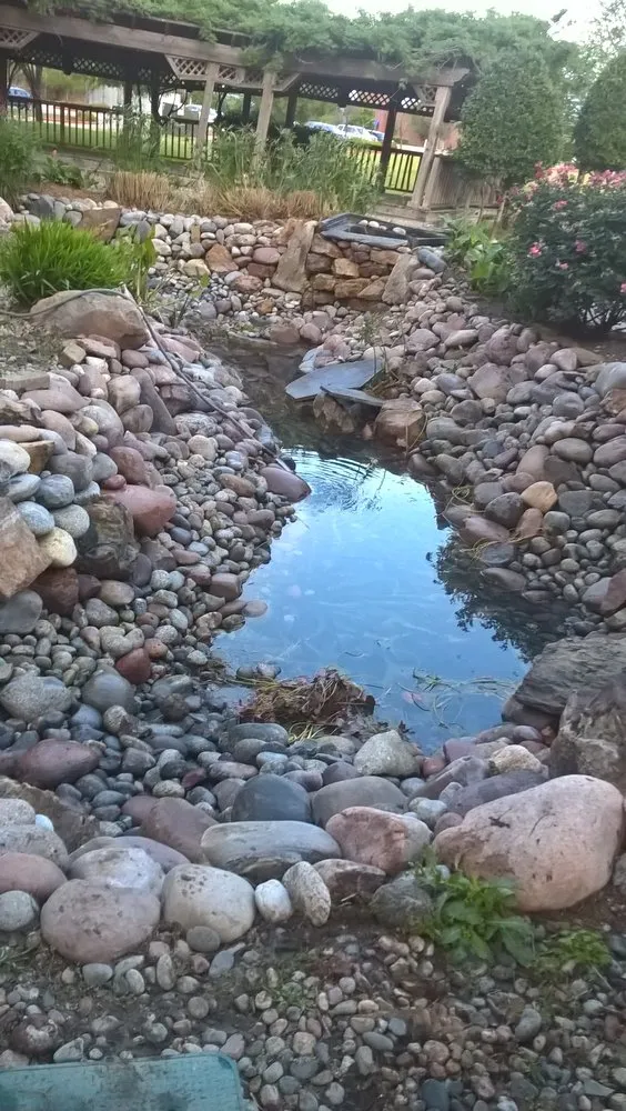 Trusted landscape design experts serving Fort Worth, TX - Everything Fishy