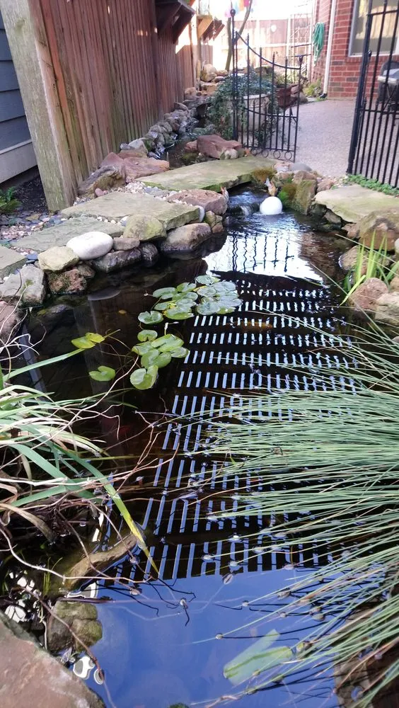 Top-rated yard cleanup service for residential properties across Fort Worth, TX - Everything Fishy